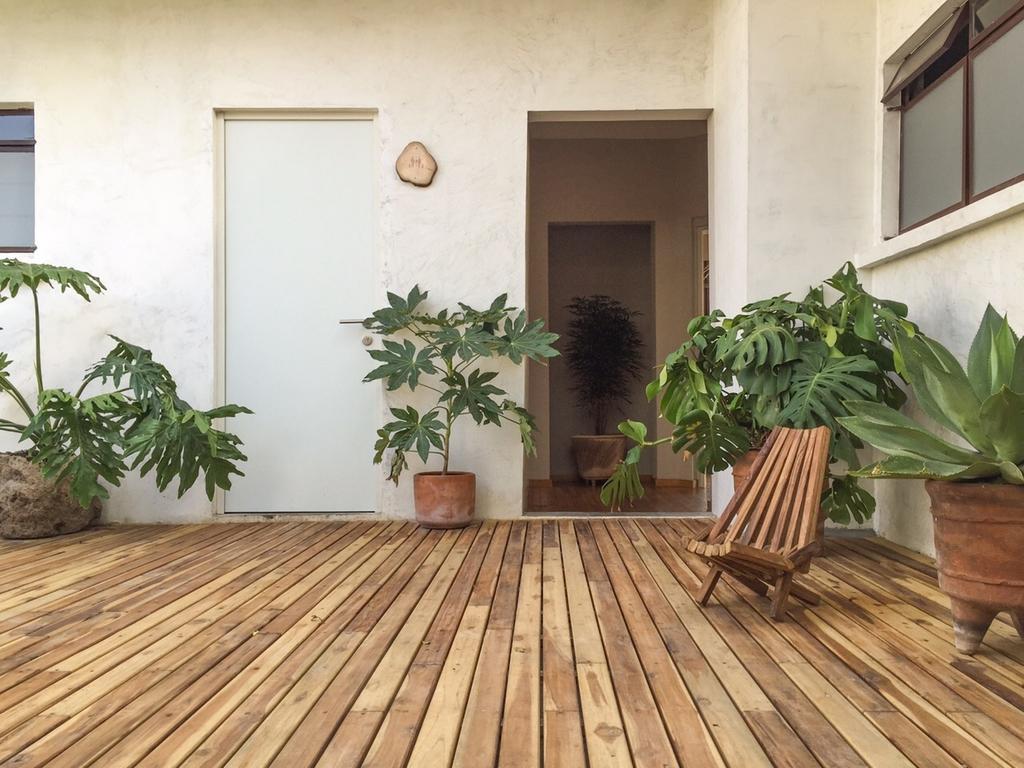 Chaya B&B Boutique Kota Meksiko Bagian luar foto