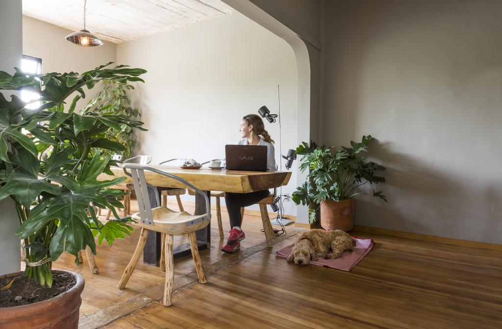 Chaya B&B Boutique Kota Meksiko Bagian luar foto