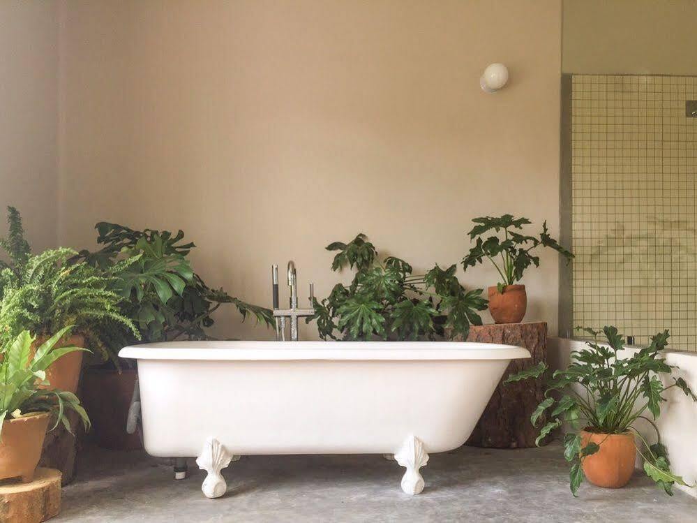 Chaya B&B Boutique Kota Meksiko Bagian luar foto